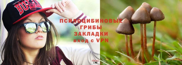 гидропоника Михайловск