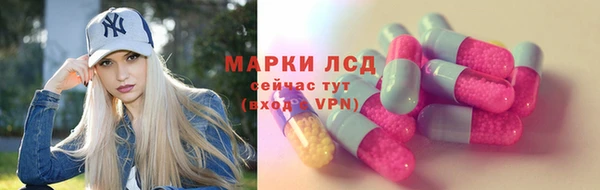 крисы Мегион