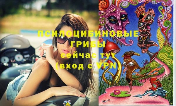 а пвп мука Надым