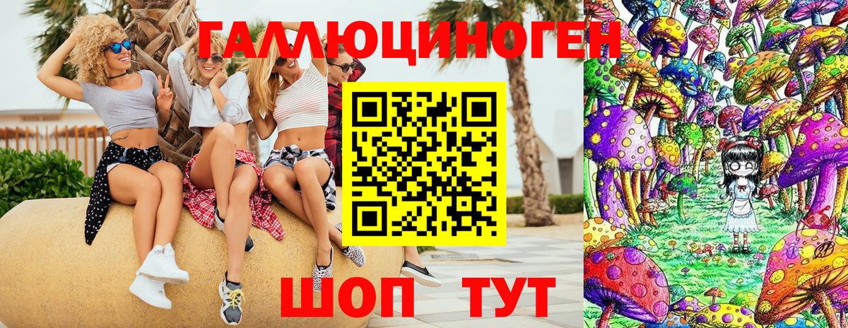 Псилоцибиновые грибы ЛСД  Вход с VPN  Псилоцибиновые грибы Psilocybine cubensis  Новоалтайск 