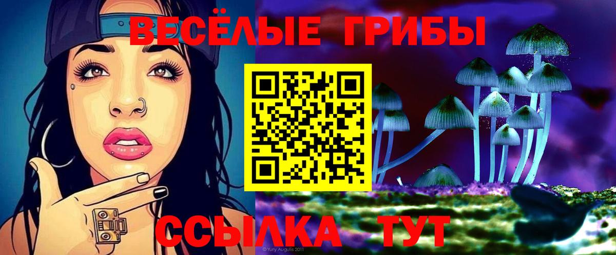 Псилоцибиновые грибы мухоморы Новоалтайск