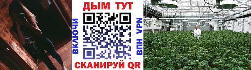 купить наркотики цена  MEGA ТОР  Конопля SATIVA & INDICA  Новоалтайск 